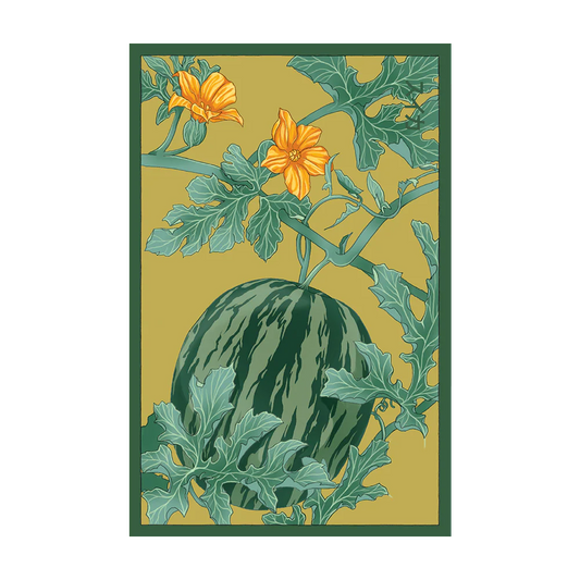 Watermelon Seed Packet