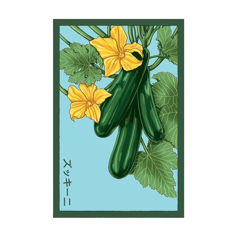 Zucchini Seed Packet