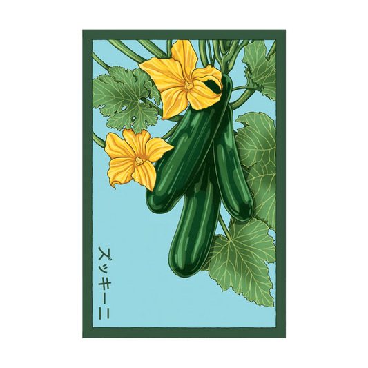 Zucchini Seed Packet