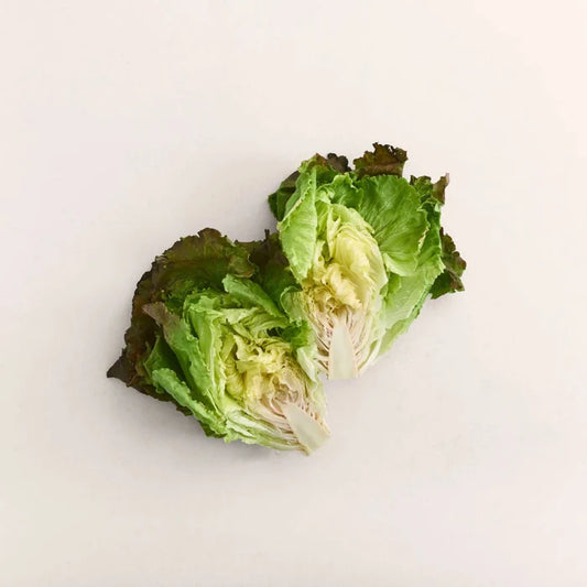 Teagan Lettuce Seeds