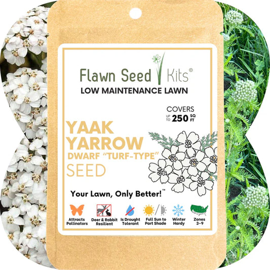 Flawn Yaak Yarrow Turf-Type Seed FL