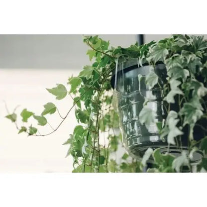 LITF Hanging Basket Drip Pan