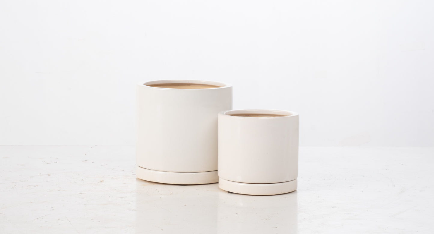 ALF Sycamore Cylinder Petits Pot w/ Attached Saucer