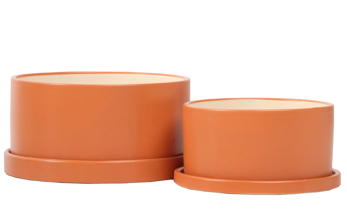 ALF Dish Garden w/ Attached Saucer