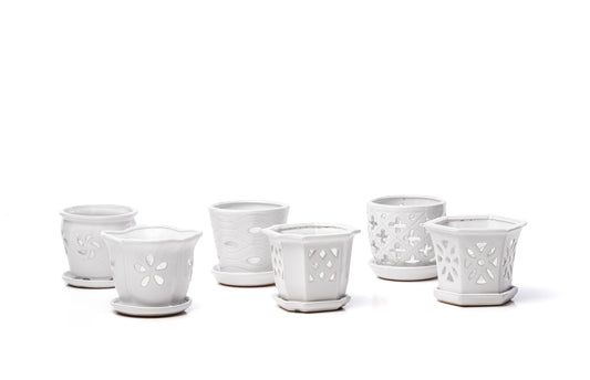 ALF Alpine Orchid Pot w/ Saucer