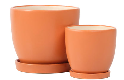 ALF Petits Egg Pot w/ Attached Saucer