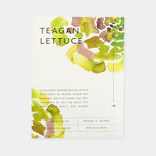 Teagan Lettuce Seeds