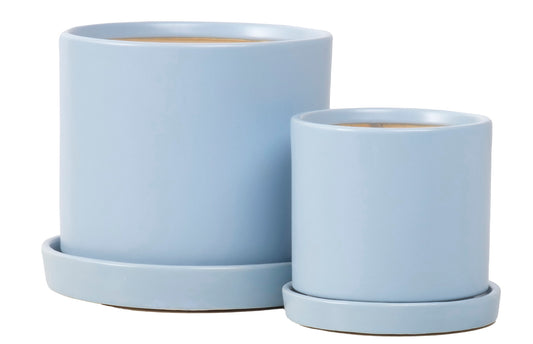 ALF Petits Cylinder w/ Attached Saucer