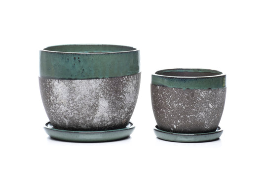 ALF Wild Rimmed Mezzo Planter w/ Saucer