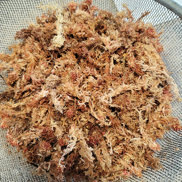 Long Fiber Sphagnum Moss