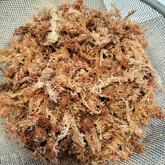 Long Fiber Sphagnum Moss BFG