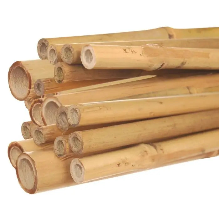Bamboo Stake Single 3 ft