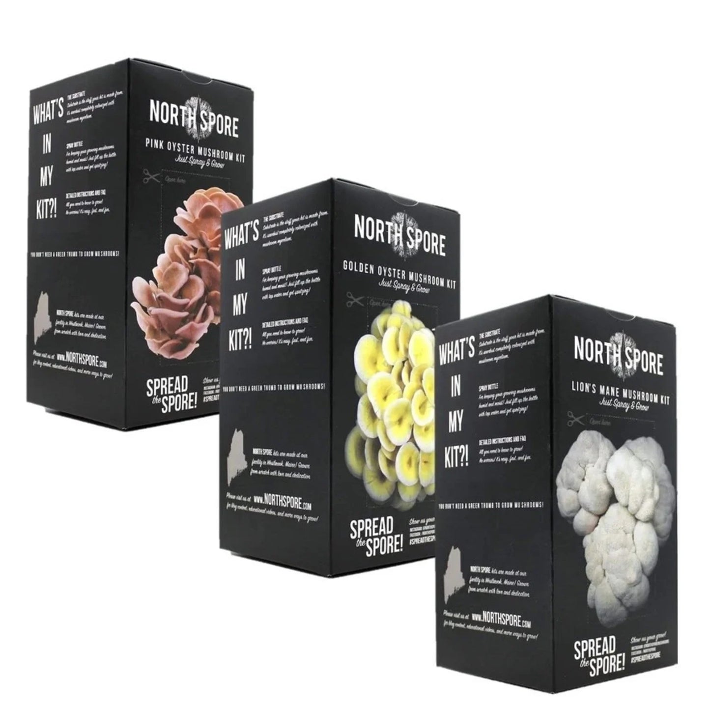 North Spore 'Spray & Grow' Mushroom Kit